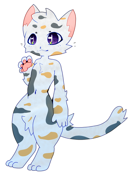 Cat Cat